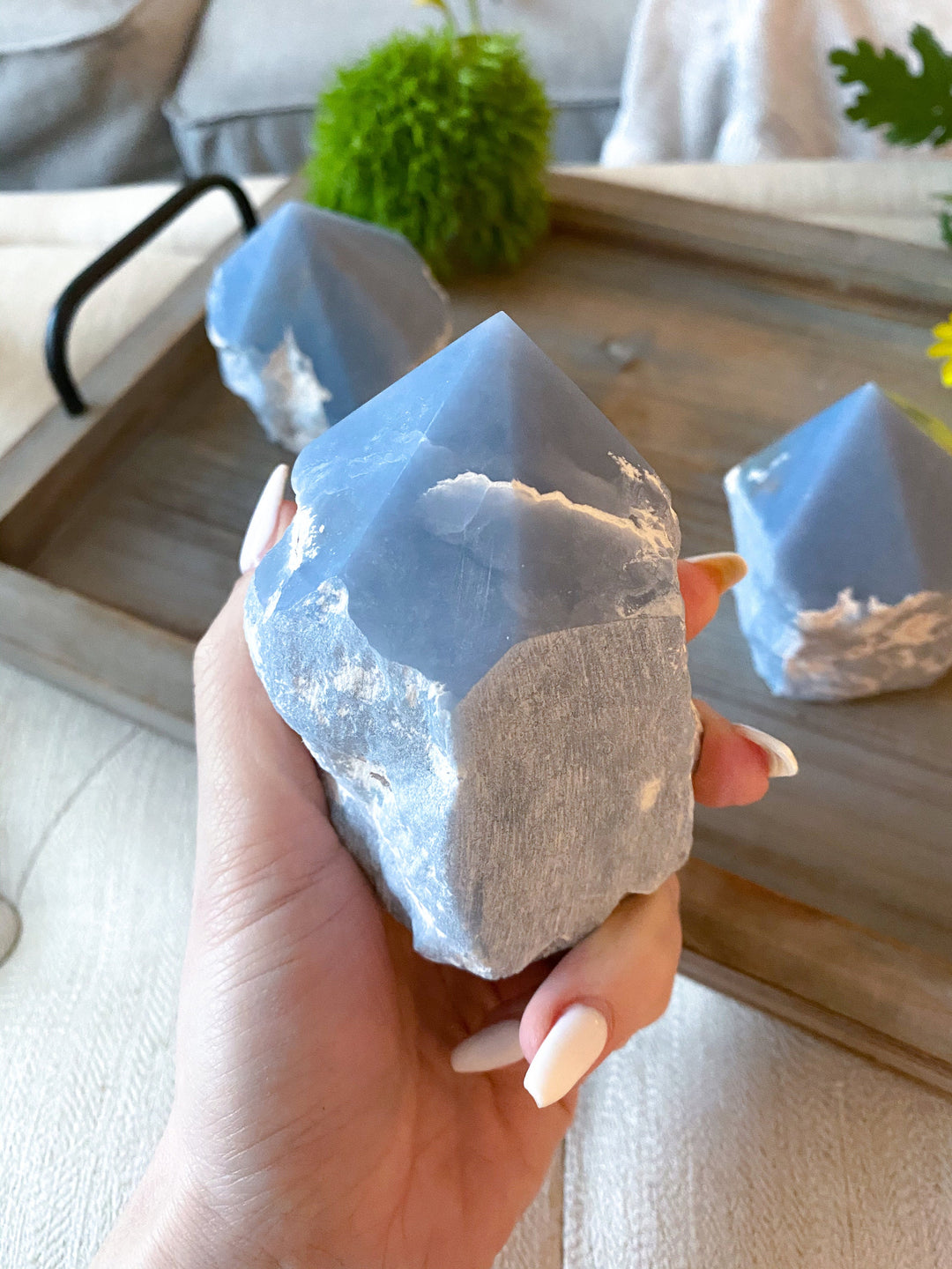 SPIRIT GUIDE Angelite Crystal Top Polish Point