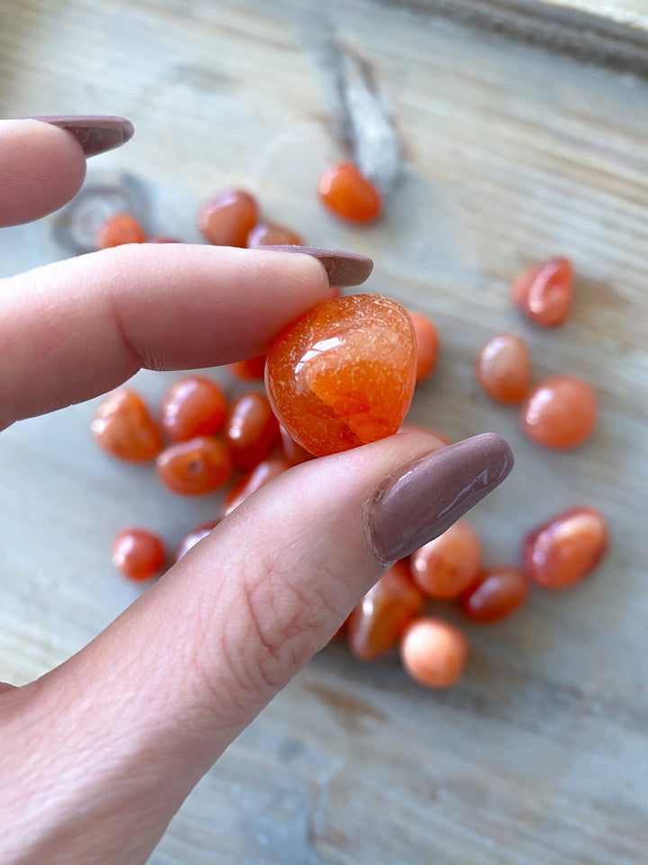 Small Carnelian Tumble Stone - Root Chakra