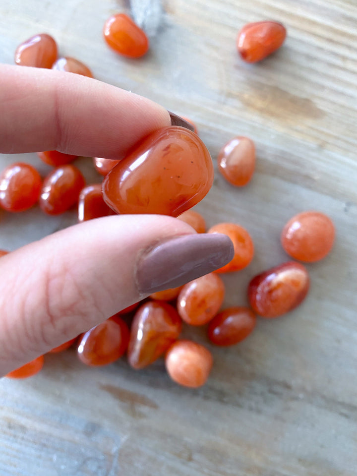 Small Carnelian Tumble Stone - Root Chakra