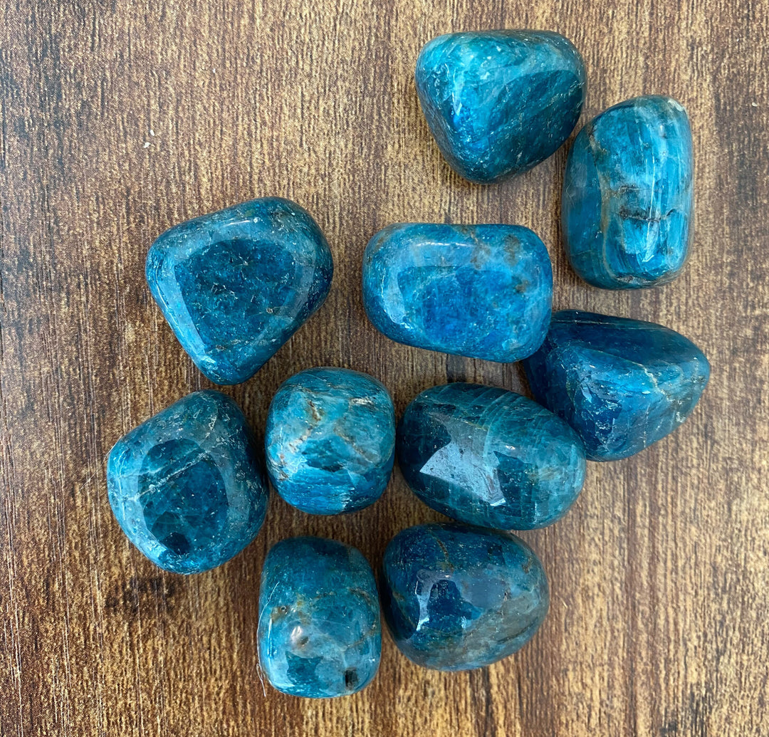 Blue Apatite Tumble Stone - Manifest Desires - Increase Psychic Abilities - Expand Insights