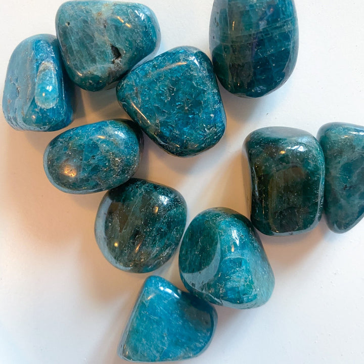 Blue Apatite Tumble Stone - Manifest Desires - Increase Psychic Abilities - Expand Insights