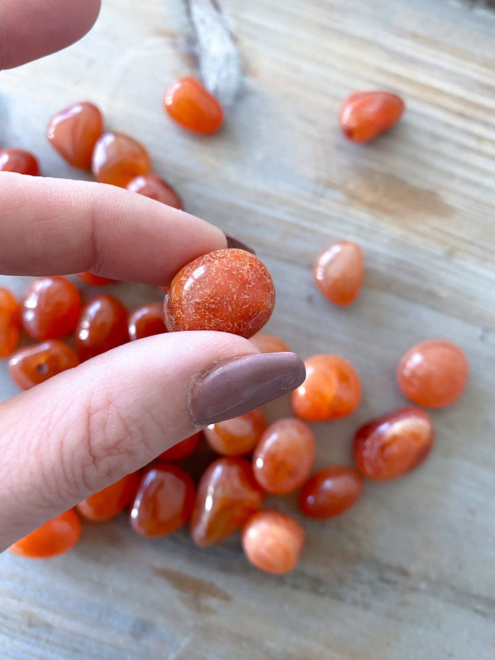 Small Carnelian Tumble Stone - Root Chakra