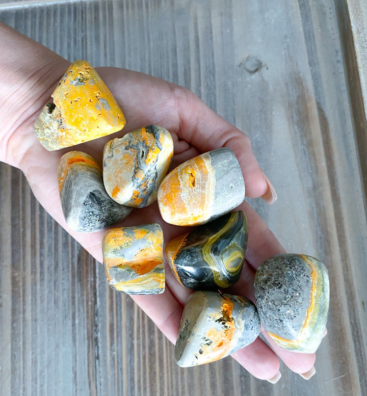 Bumble Bee Jasper Pebble Stone