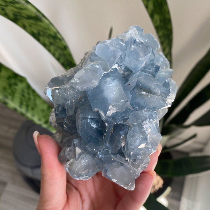 Large 1.9lb Celestite Cluster - Get this Stone - Angel Crystal - Healing - Psychic - Celestine - Consciousness - Mindfulness - Prayer