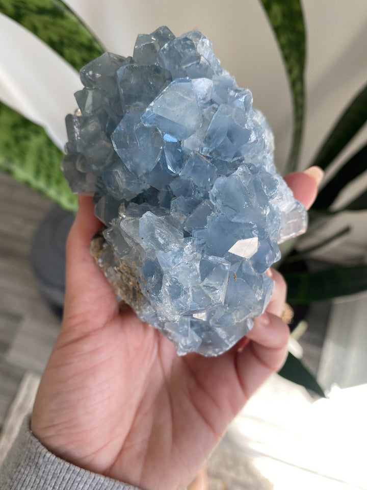 Large 1.9lb Celestite Cluster - Get this Stone - Angel Crystal - Healing - Psychic - Celestine - Consciousness - Mindfulness - Prayer