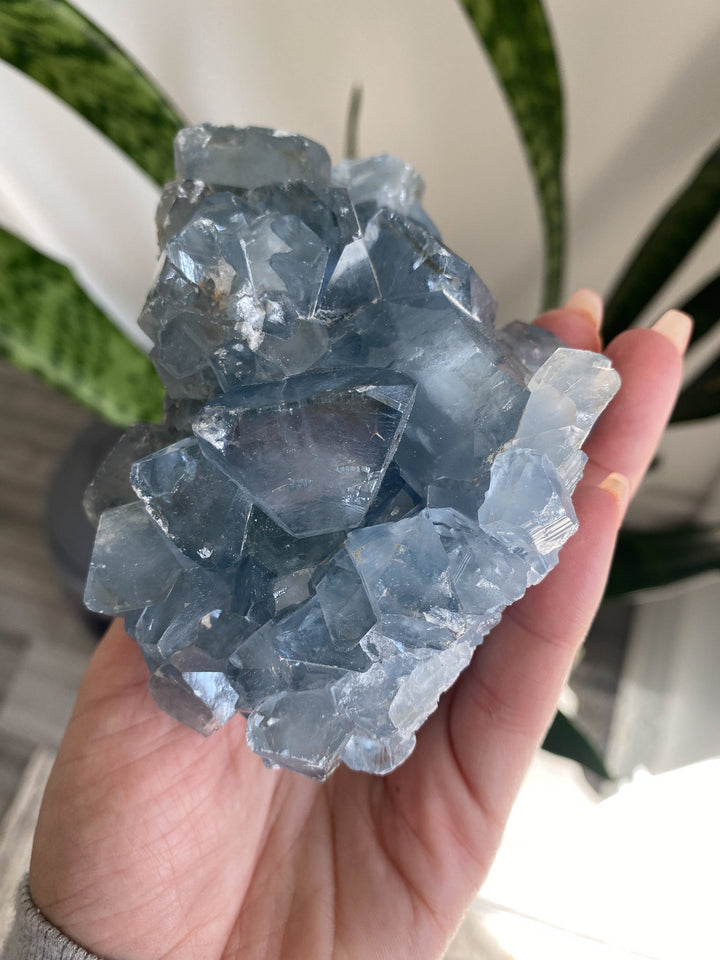 Large 1.9lb Celestite Cluster - Get this Stone - Angel Crystal - Healing - Psychic - Celestine - Consciousness - Mindfulness - Prayer