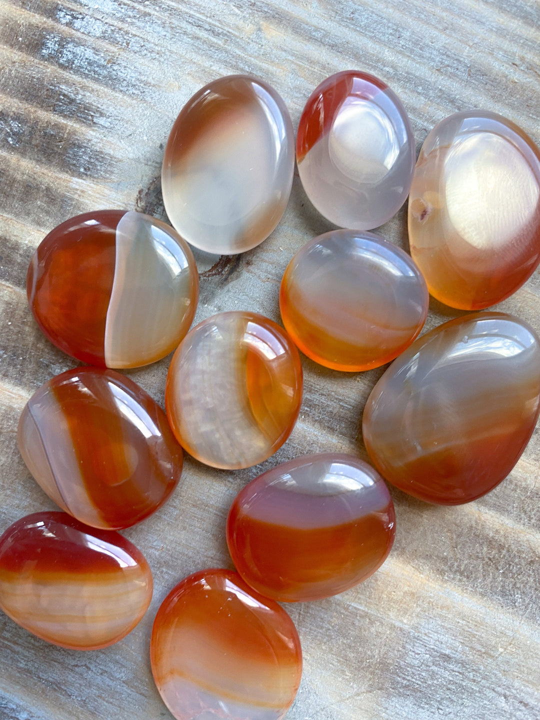 Small Carnelian Coins - You Choose Style