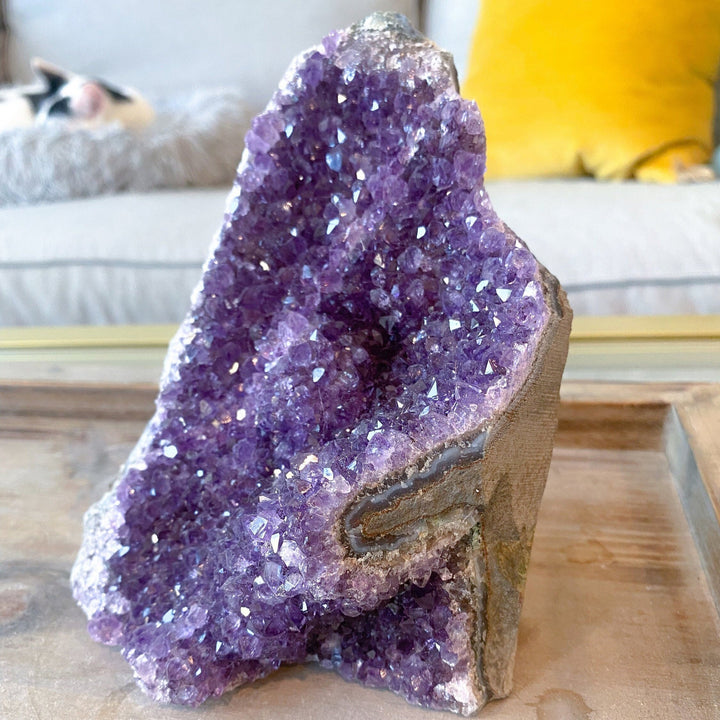 XL Amethyst Cluster 5" Geode