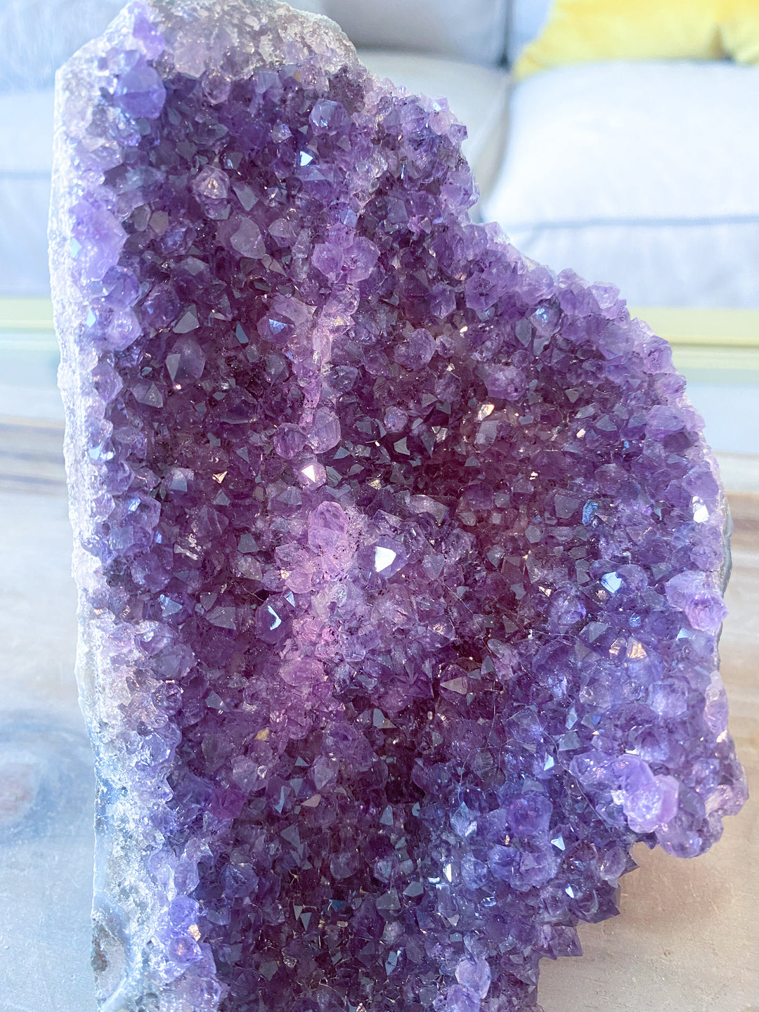 XL Amethyst Cluster 5" Geode