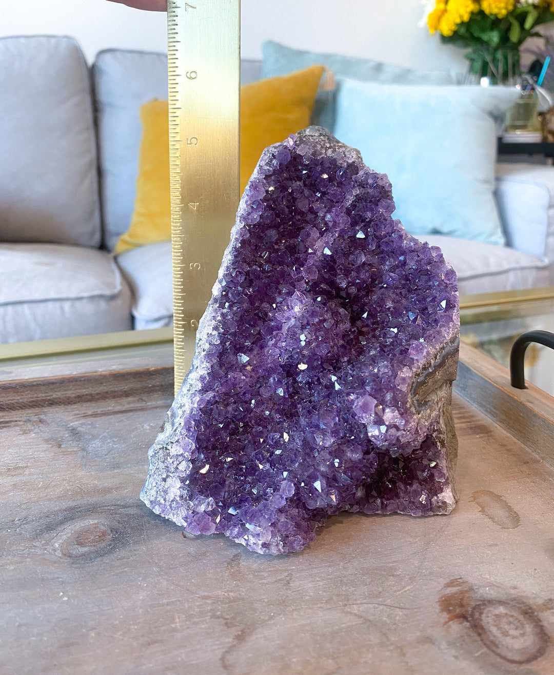 XL Amethyst Cluster 5" Geode