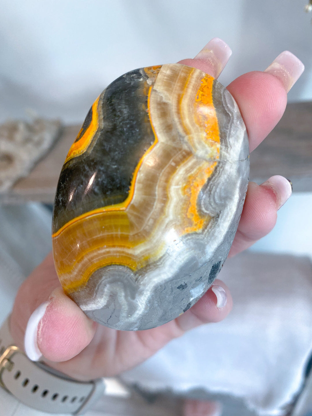 SET: 2 Bumble Bee Jasper Palm Stones - Manifest - Self-Trust Stone - Confidence Crystal - Perseverance - Openness - Creating Change