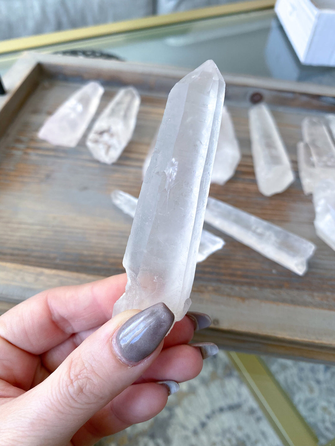 3"-5" Lemurian Empathic Warrior Star Seed Quartz Wands - B quality