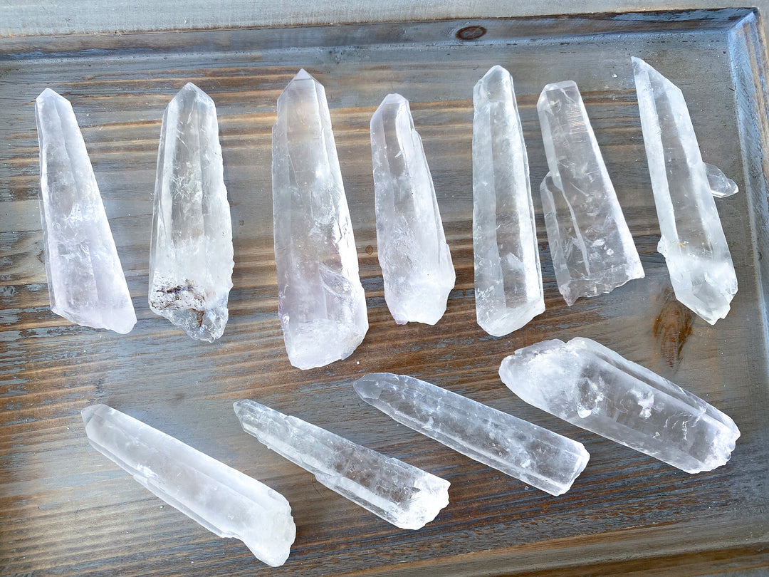 3"-5" Lemurian Empathic Warrior Star Seed Quartz Wands - B quality