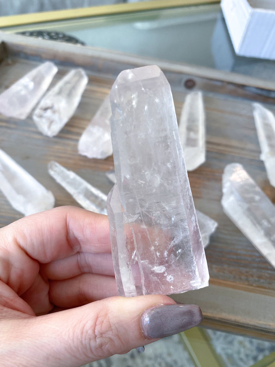 3"-5" Lemurian Empathic Warrior Star Seed Quartz Wands - B quality