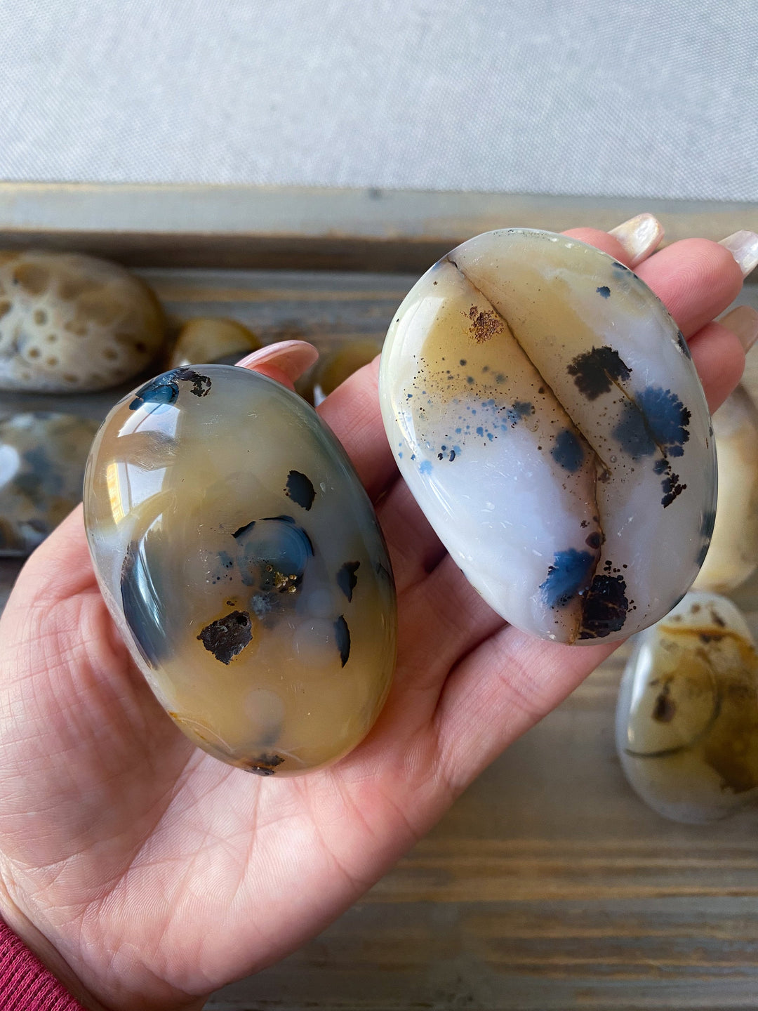 Dendritic Agate Palm Stone - You Choose