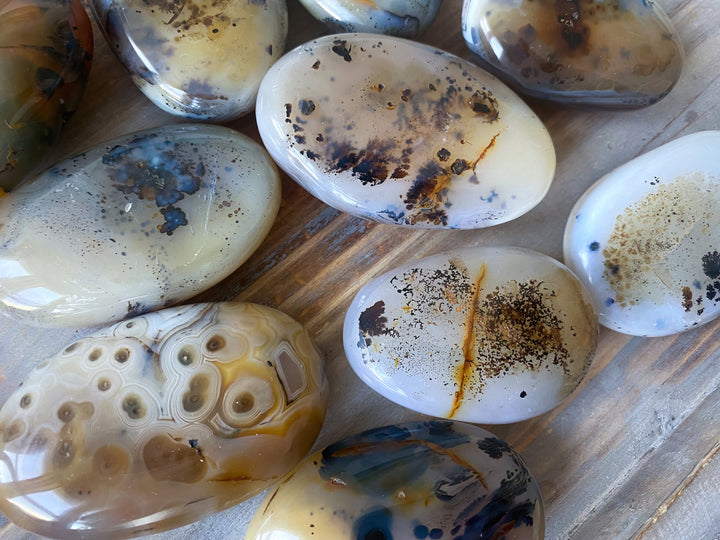 Dendritic Agate Palm Stone - You Choose