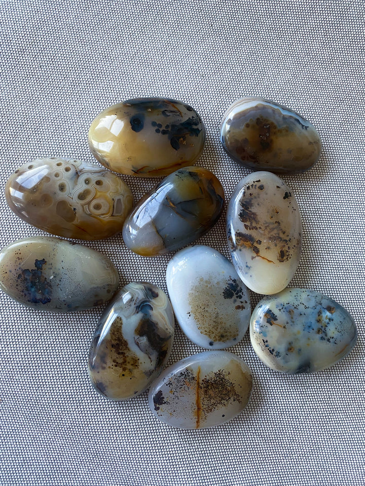 Dendritic Agate Palm Stone - You Choose