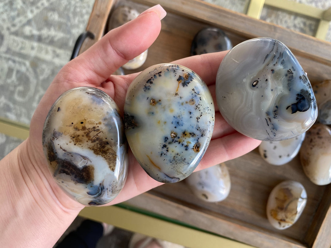 Dendritic Agate Palm Stone - You Choose