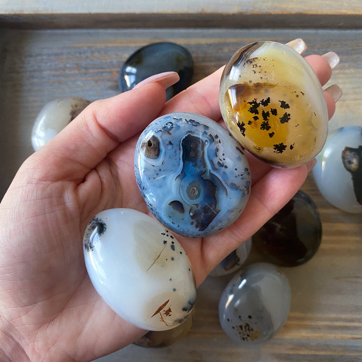 Dendritic Agate Palm Stone - You Choose