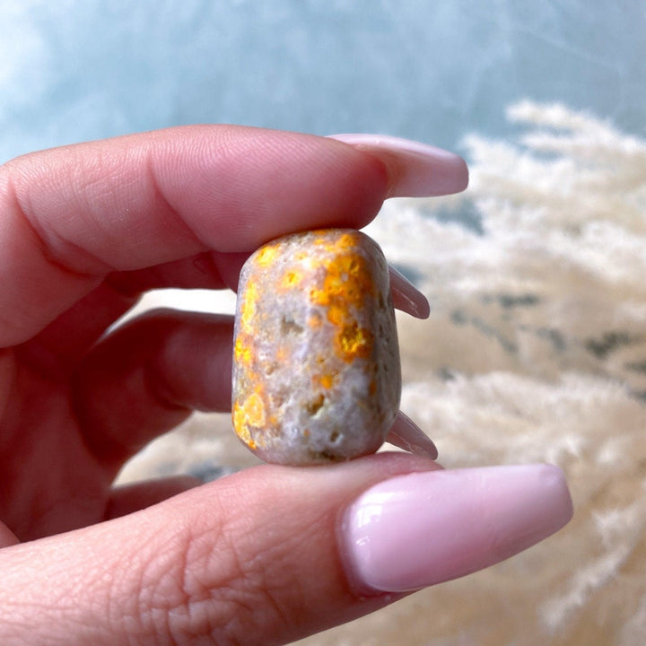 Bumble Bee Jasper Tumble - Get Exact Piece