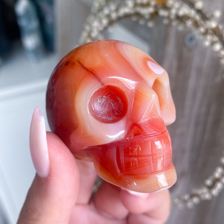 Carnelian Skull - You Choose - Courage Crystal - Strength - Protection - Root, Sacral, Solar Plexus Chakra