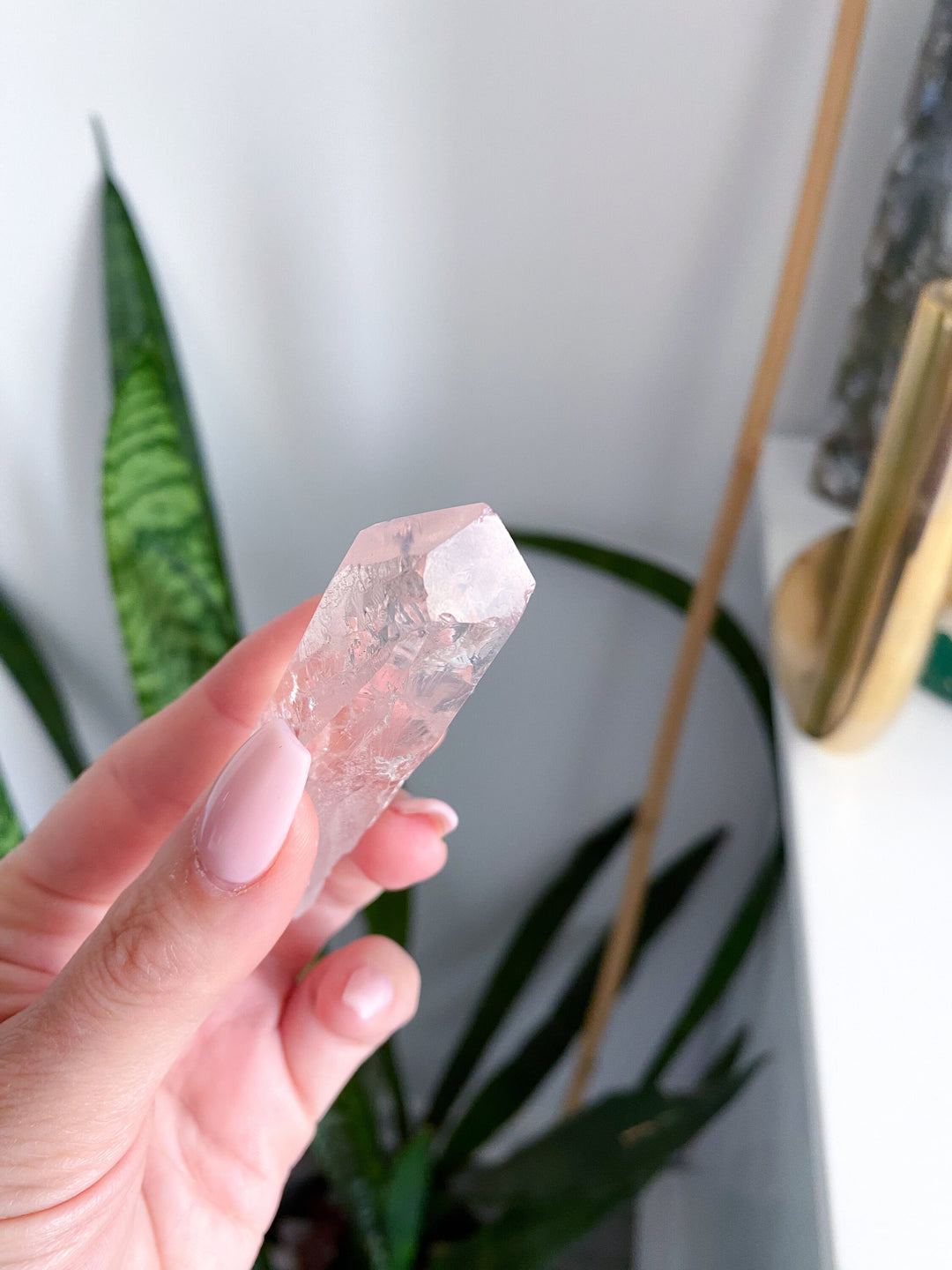 Lemurian Star Seed Quartz - Get Exact listing