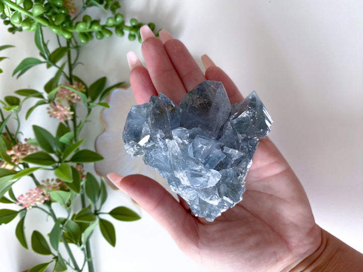 BIG Celestite Cluster Chunk - Get Exact Stone