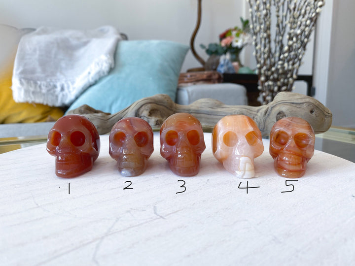 Carnelian Skull - You Choose - Courage Crystal - Strength - Protection - Root, Sacral, Solar Plexus Chakra