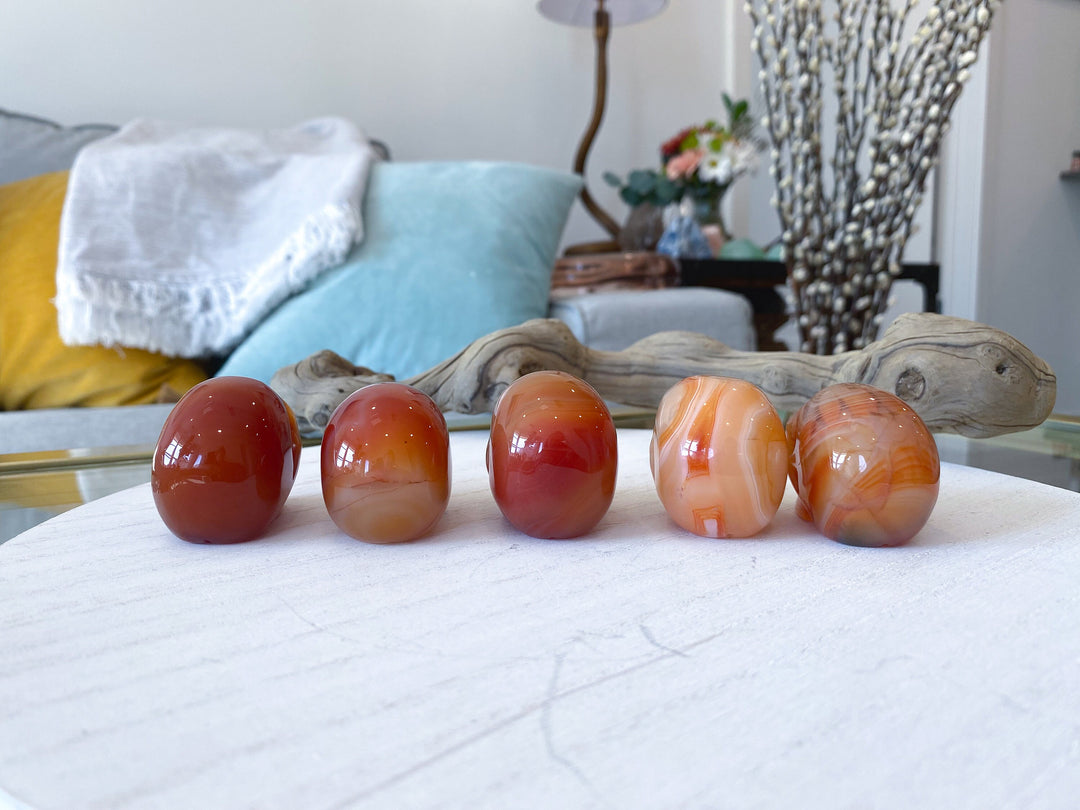 Carnelian Skull - You Choose - Courage Crystal - Strength - Protection - Root, Sacral, Solar Plexus Chakra