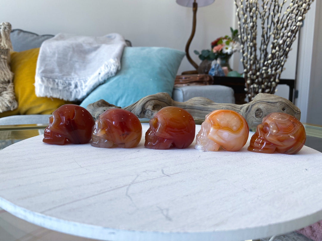 Carnelian Skull - You Choose - Courage Crystal - Strength - Protection - Root, Sacral, Solar Plexus Chakra