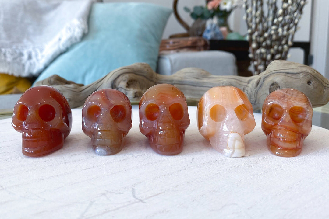 Carnelian Skull - You Choose - Courage Crystal - Strength - Protection - Root, Sacral, Solar Plexus Chakra