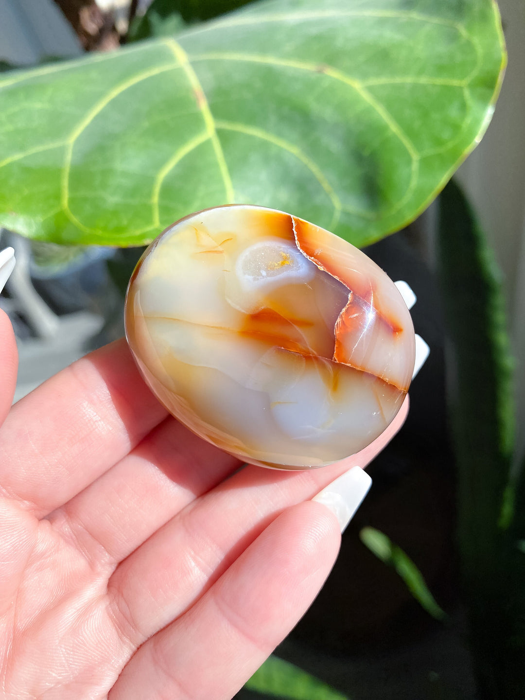 Duality Carnelian Palm Stone - Get Exact Crystal