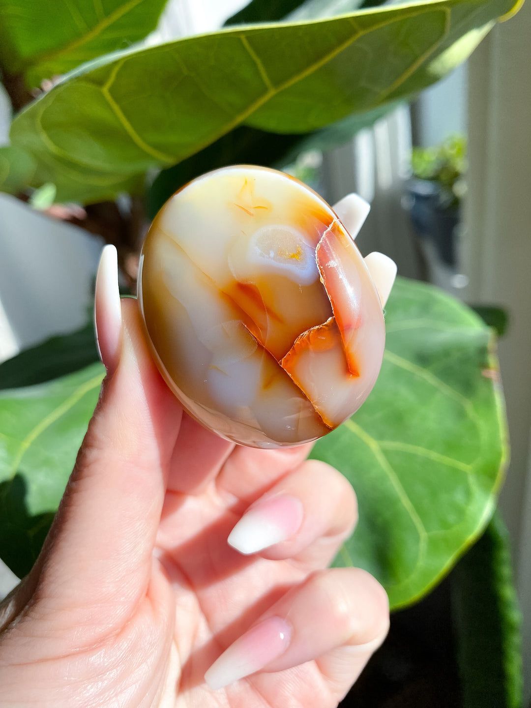 Duality Carnelian Palm Stone - Get Exact Crystal