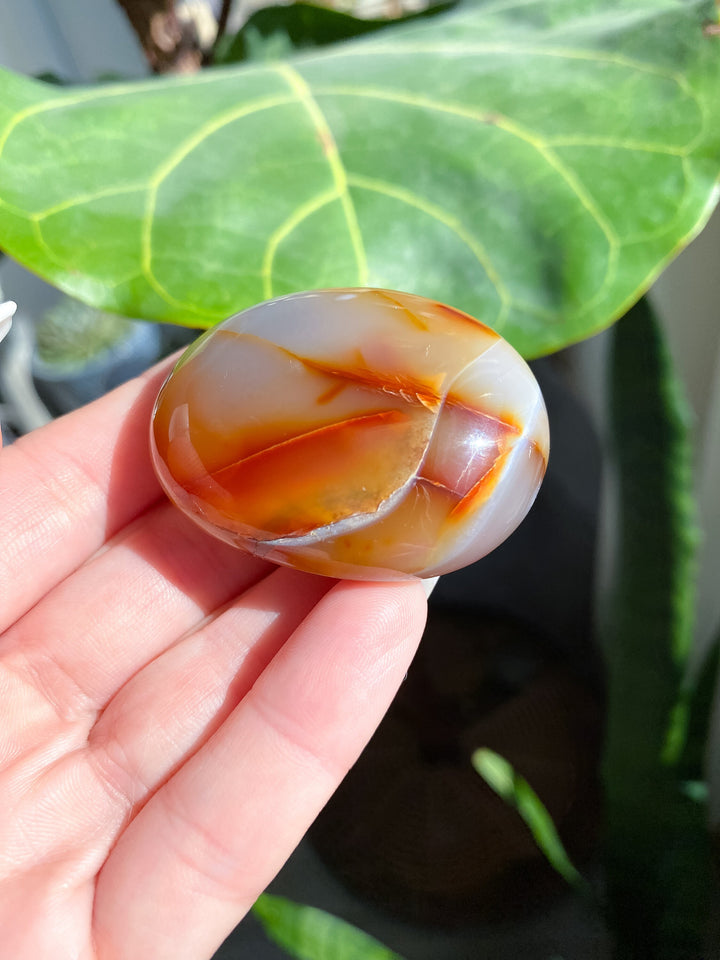 Duality Carnelian Palm Stone - Get Exact Crystal