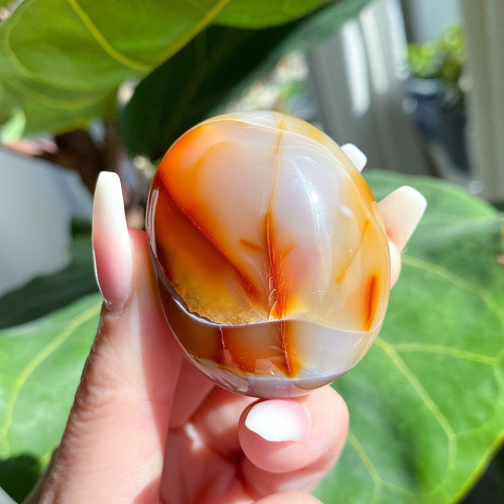 Duality Carnelian Palm Stone - Get Exact Crystal