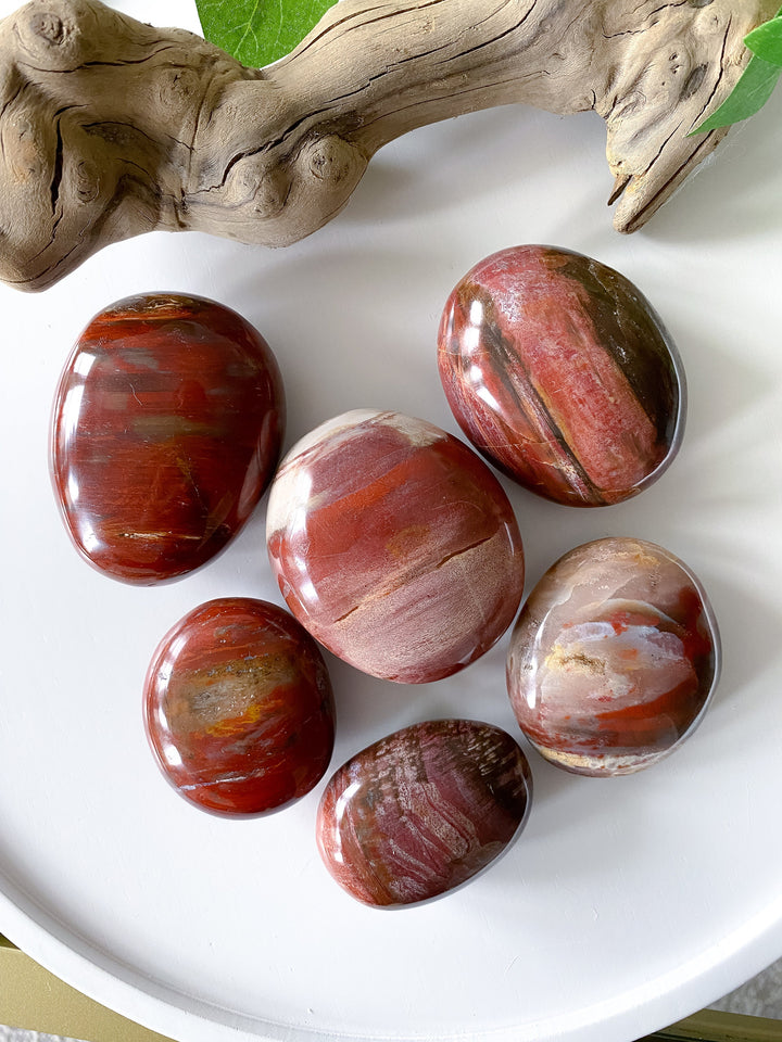 Petrified Wood Palm Stone