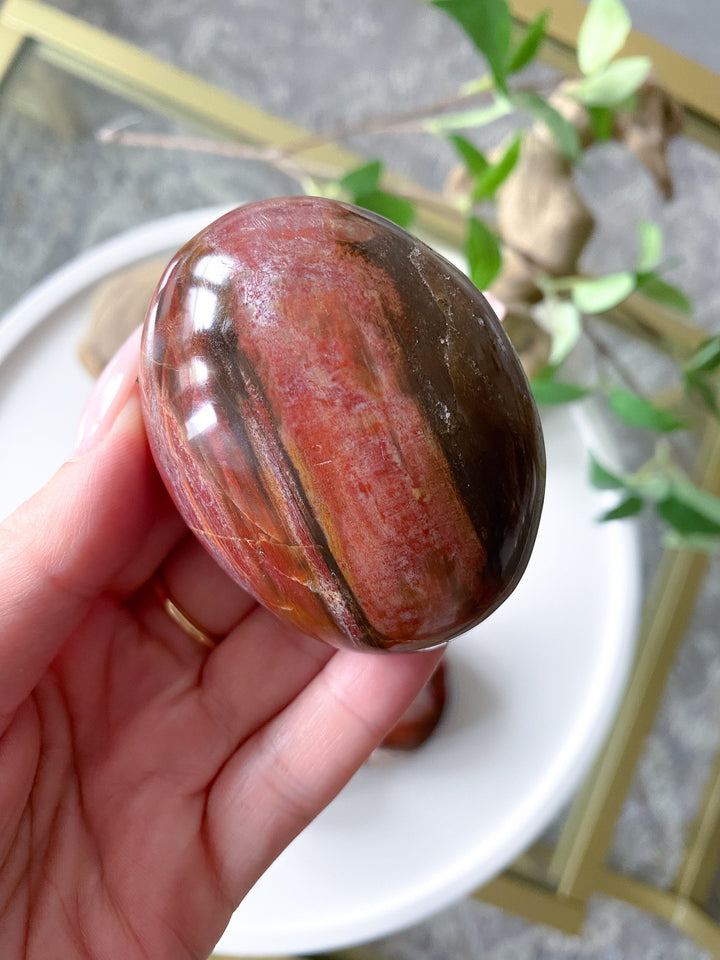 Petrified Wood Palm Stone