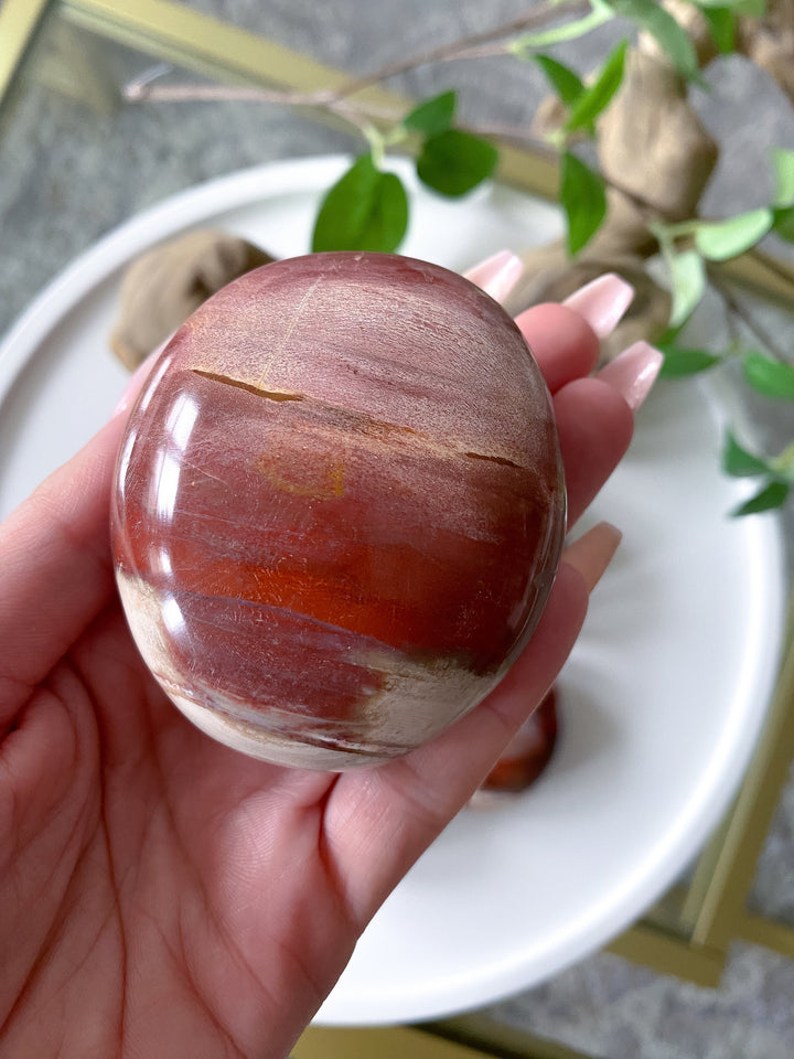 Petrified Wood Palm Stone