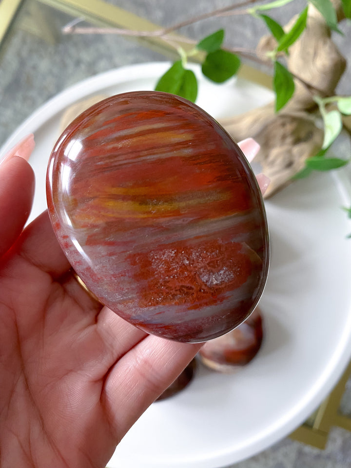 Petrified Wood Palm Stone