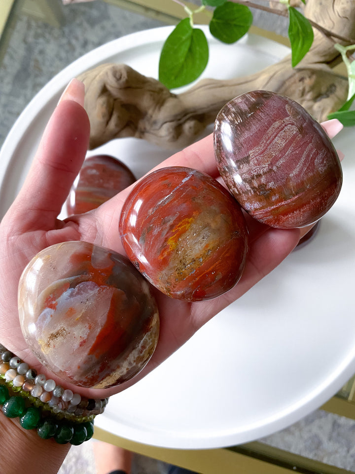 Petrified Wood Palm Stone