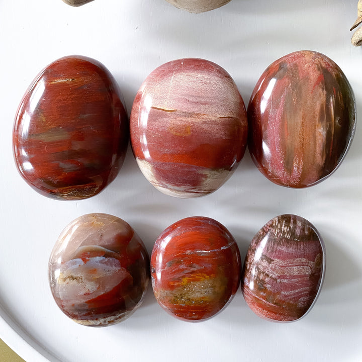 Petrified Wood Palm Stone