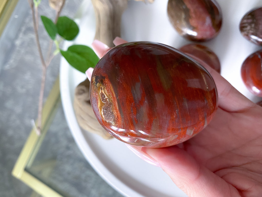 Petrified Wood Palm Stone