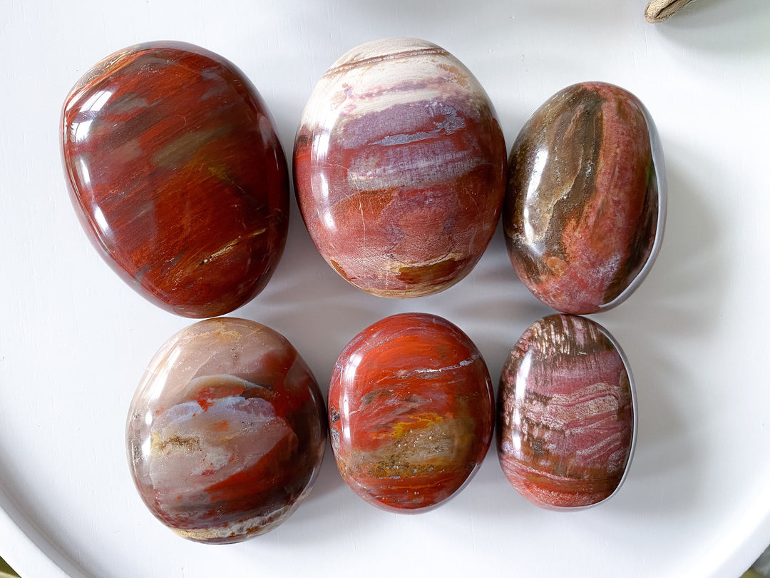 Petrified Wood Palm Stone