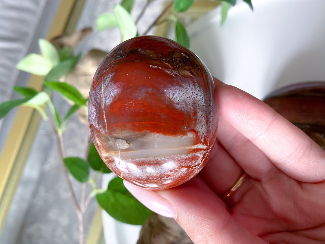 Petrified Wood Palm Stone
