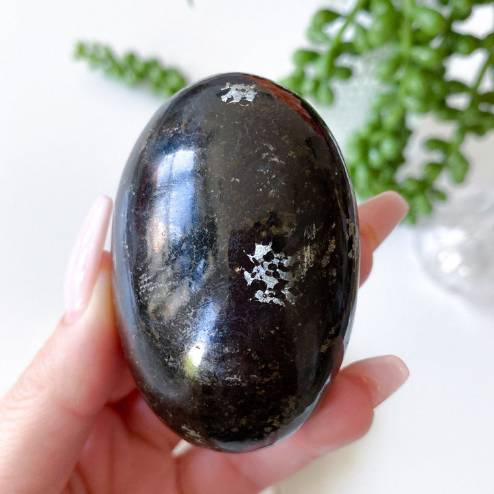 FLASHY Black Galaxy Jasper Palm Stone