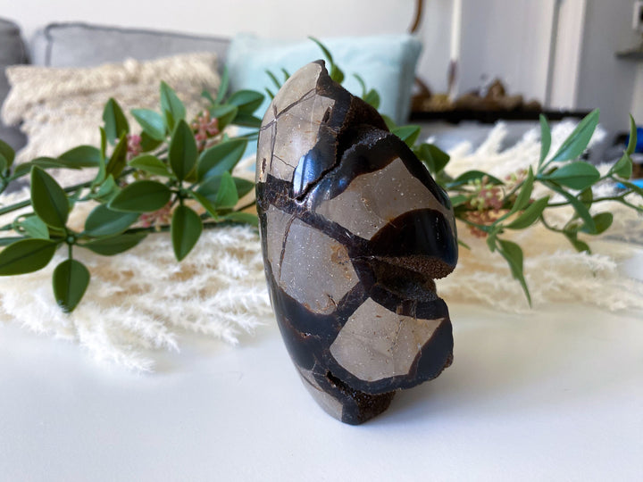 Large Septarian Dragon Egg - Geode Druzy Egg - Septarian Dragon Egg - Get Exact Item Listed