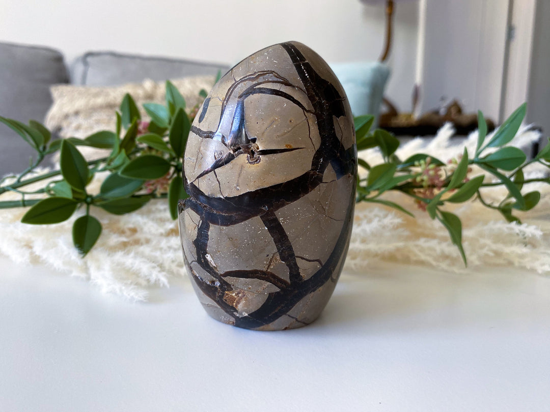 Large Septarian Dragon Egg - Geode Druzy Egg - Septarian Dragon Egg - Get Exact Item Listed