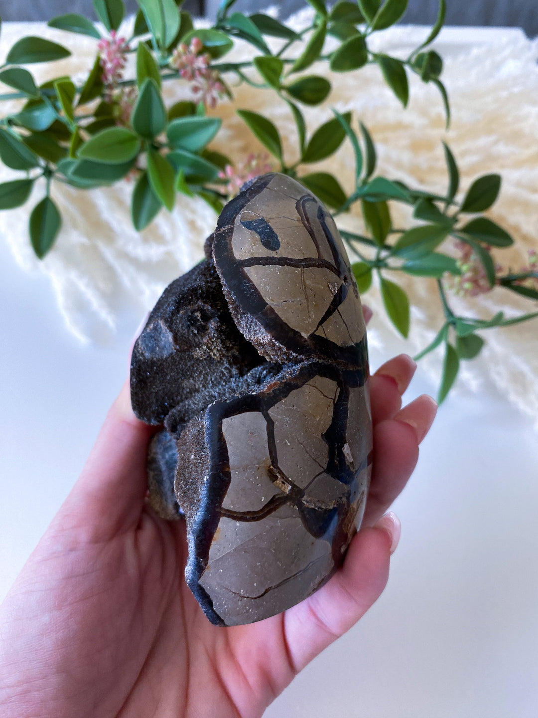 Large Septarian Dragon Egg - Geode Druzy Egg - Septarian Dragon Egg - Get Exact Item Listed