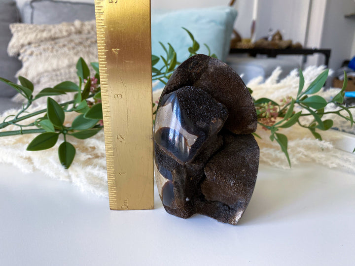 Large Septarian Dragon Egg - Geode Druzy Egg - Septarian Dragon Egg - Get Exact Item Listed