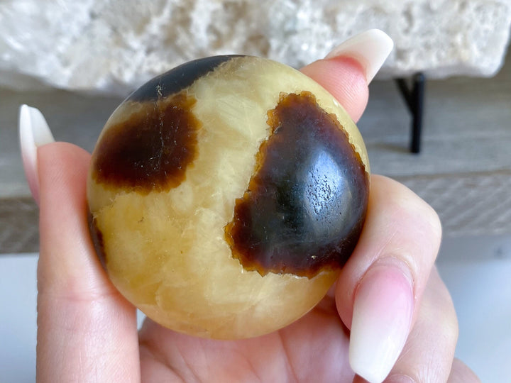 Septarian Dragon Egg Palm Stone - You Choose